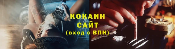 ECSTASY Алзамай