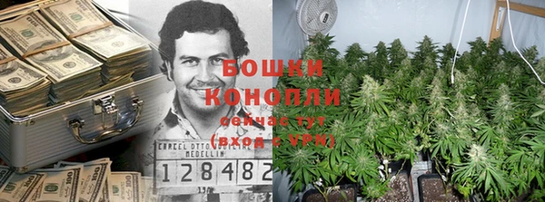 шишки Абдулино