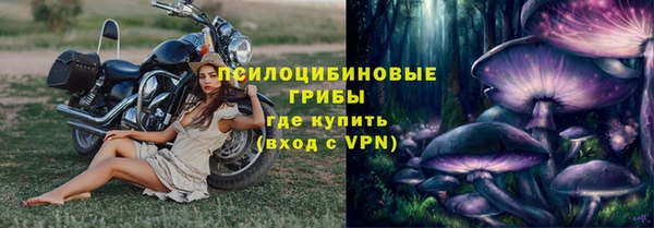 шишки Абдулино