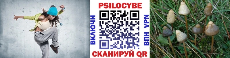 Псилоцибиновые грибы ЛСД  Красновишерск 
